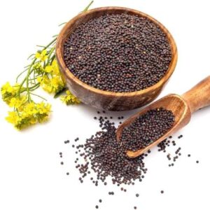 Black Mustard