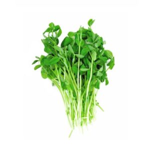 Pea Shoots
